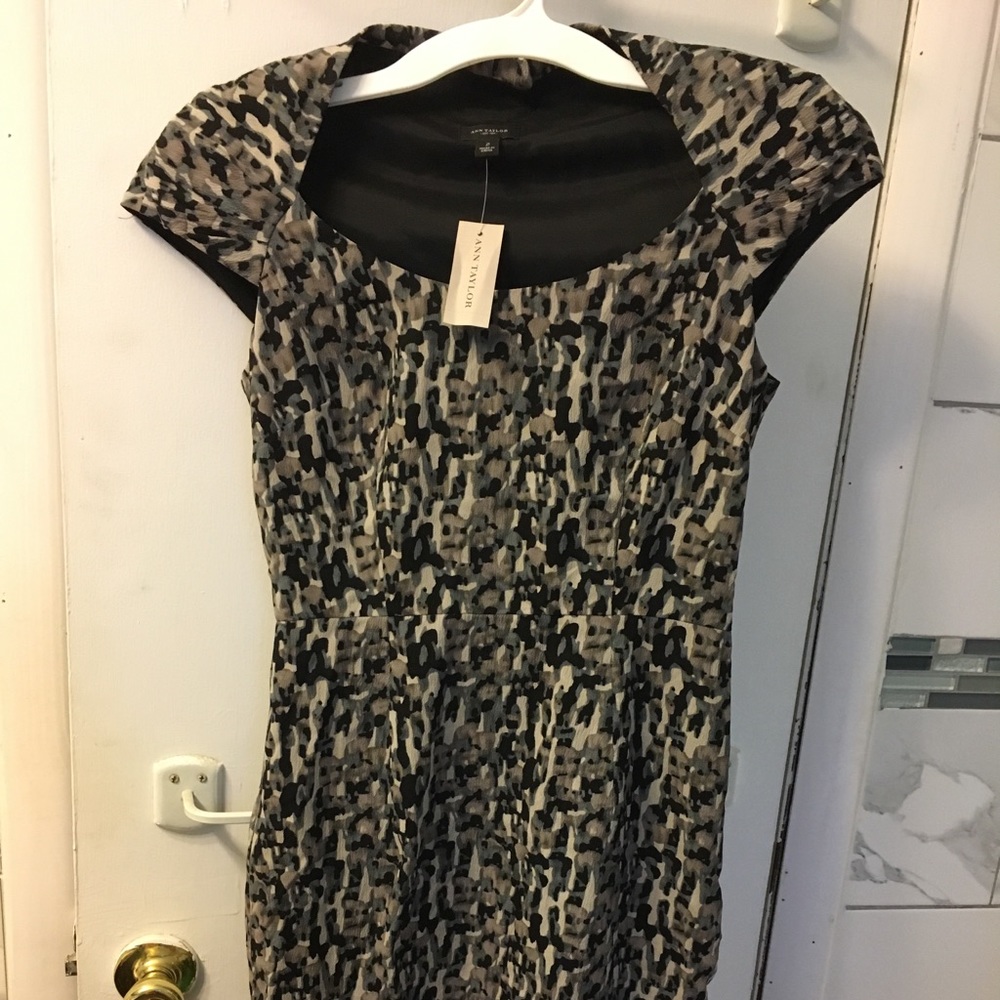 NWT Ann Taylor Silk Dress